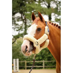 Jump'in Soft Halter - One Collection